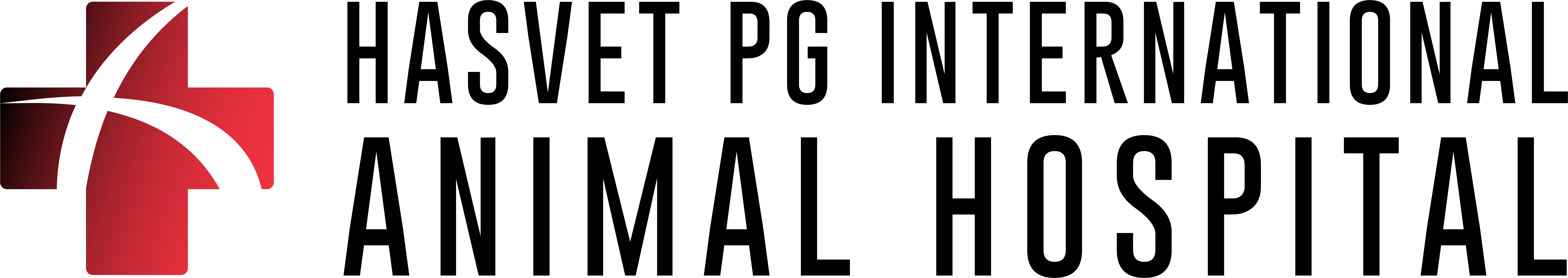 Logo, hasvet baku international animal hospital